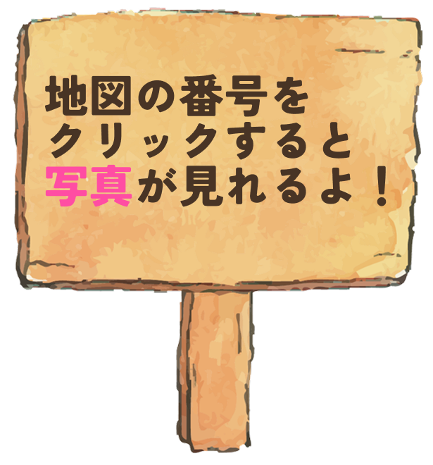 ピンタップで拡大