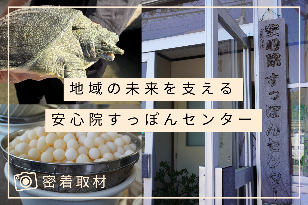 すっぽんセンター
