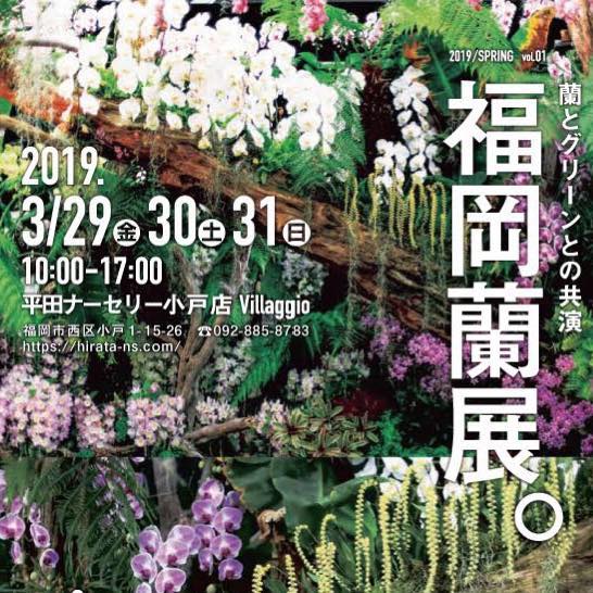 九州最大級の蘭の展示販売会『福岡蘭展。』