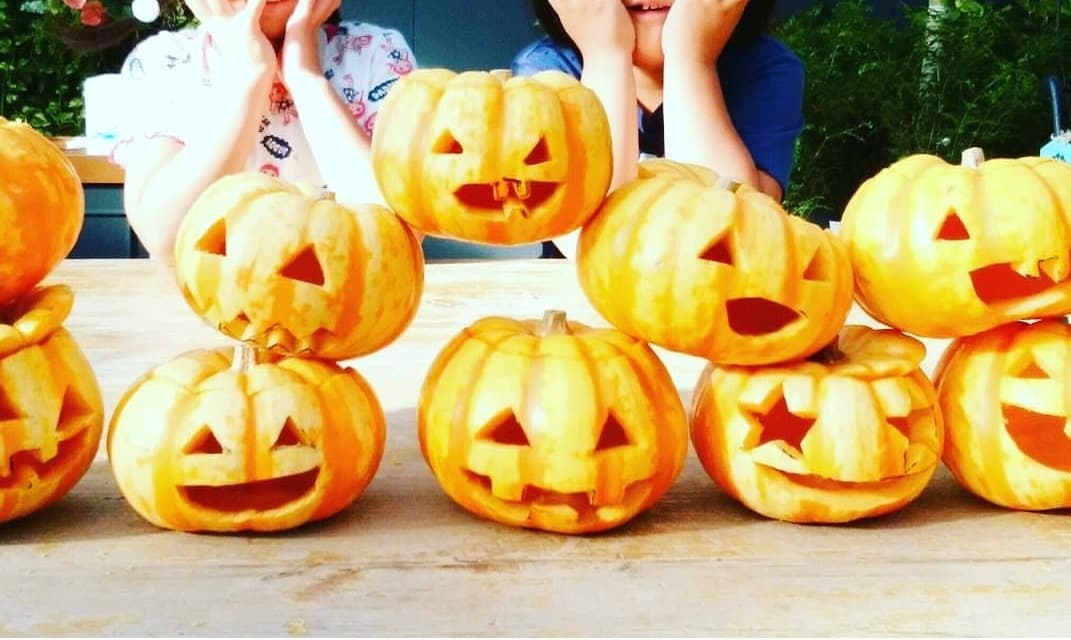 週末イベント情報：ビギナー大歓迎^^ 憧れのジャックオーランタンづくりで一生の思い出を!!
