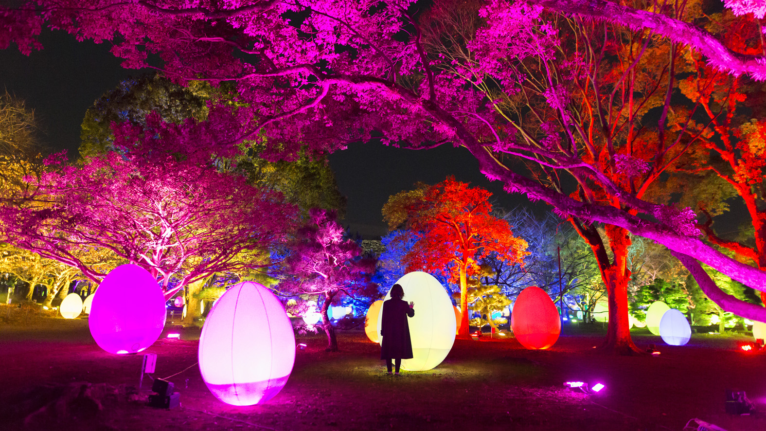 チームラボ 福岡城跡 光の祭2019-2020　まだ行けます。