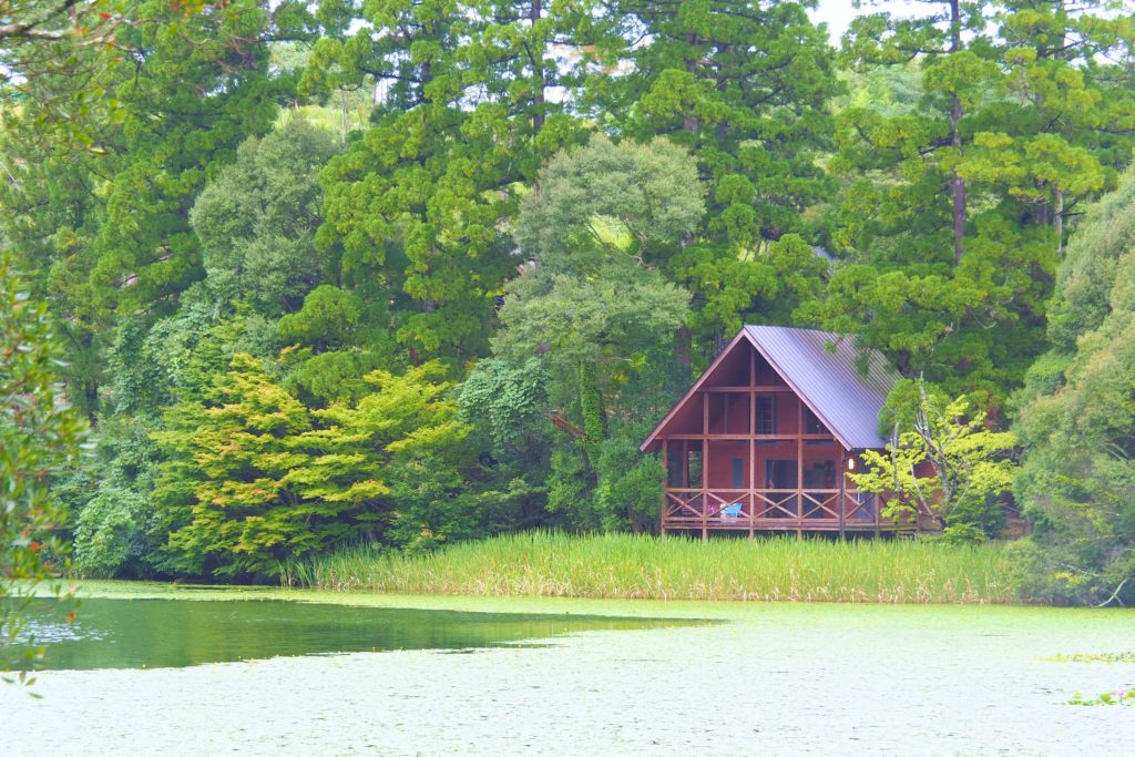 星野村の「池の山キャンプ場」がとにかく最高だった（八女市）