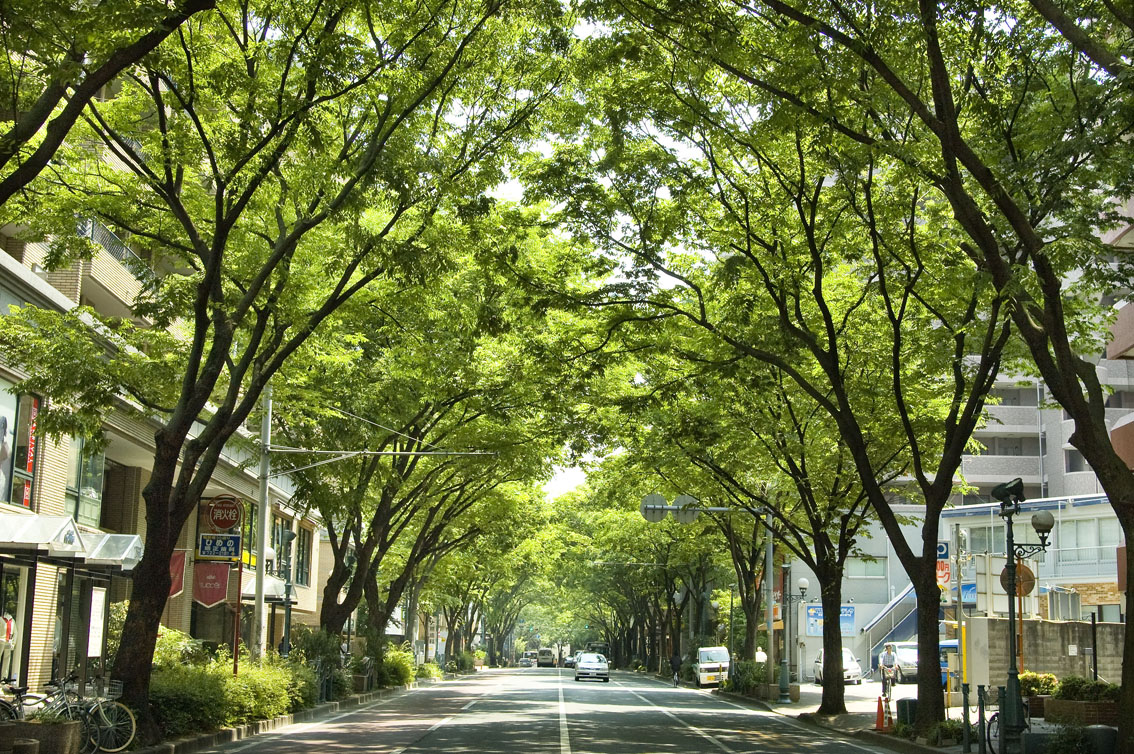 住みここちランキング総合トップは福岡市中央区！