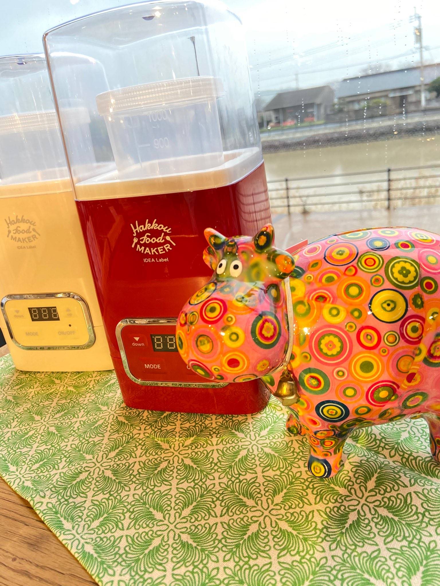 【雑貨店のスタッフが選ぶ一押しアイテム】自宅でヨーグルトを作ろう！発酵フードメーカー