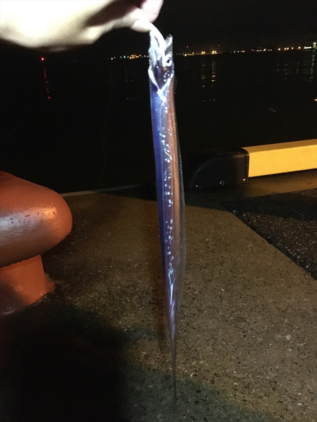 【ばってん釣りキチ!アツシとゆかいな仲間たち】博多湾奥でメバリング編　#4