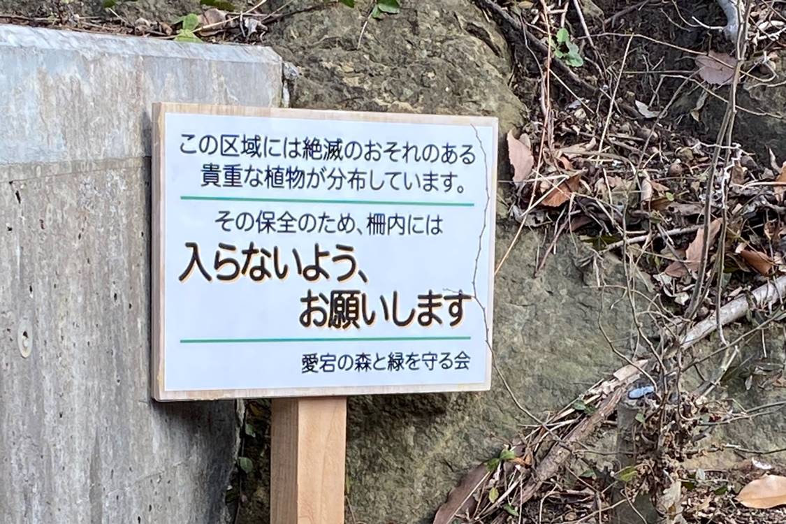 【連載コラム】―愛宕の森（愛宕山）・散歩道―#10《怒・春の息吹編》