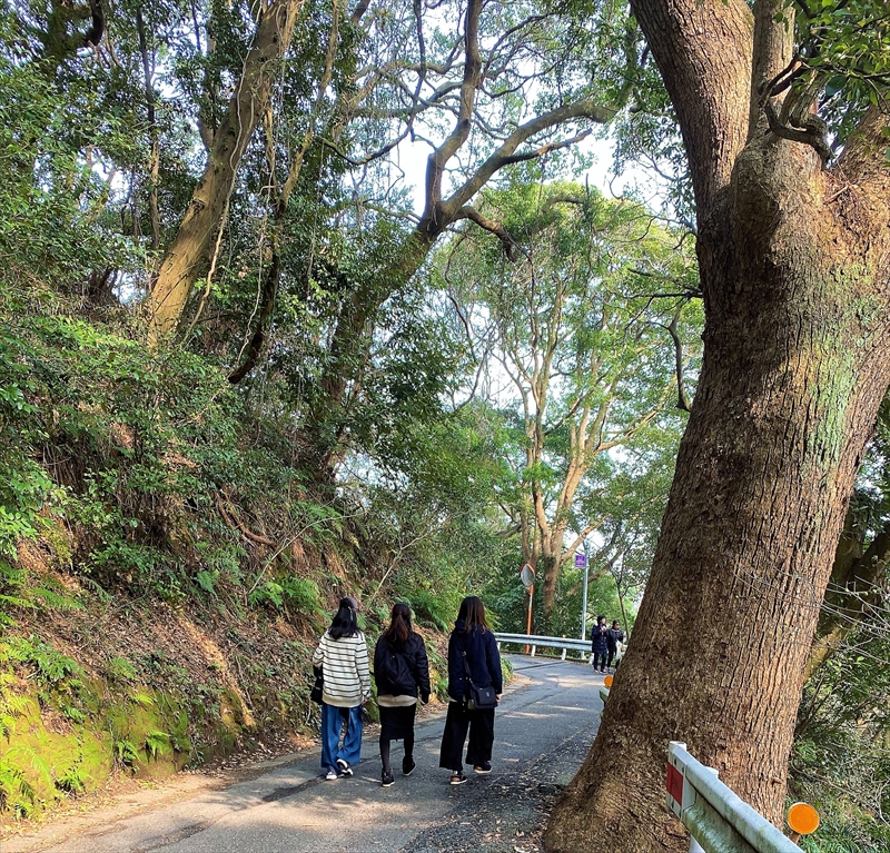 【連載コラム】―愛宕の森（愛宕山）・散歩道―＃4