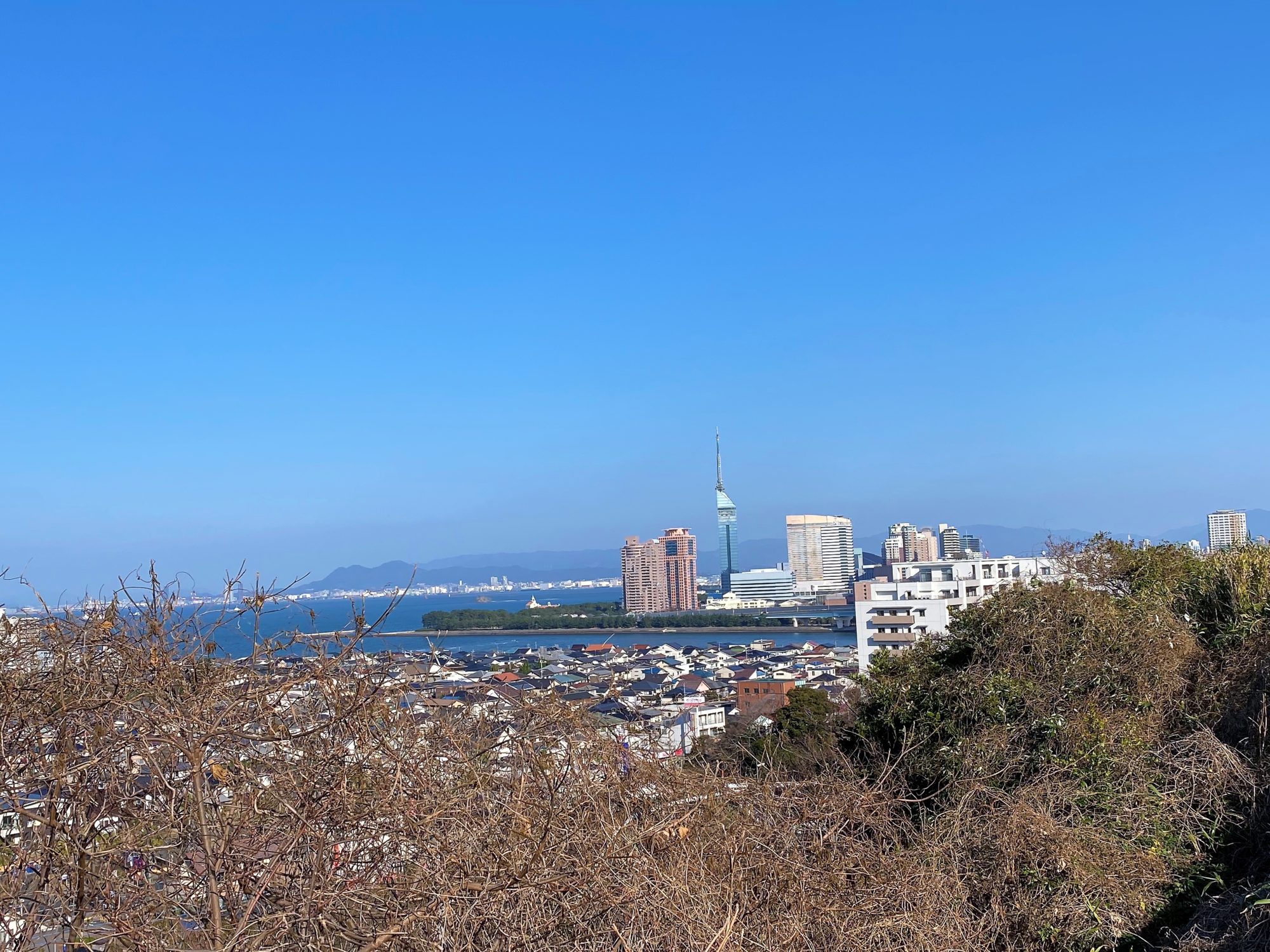 【連載コラム】―愛宕の森（愛宕山）・散歩道―＃2