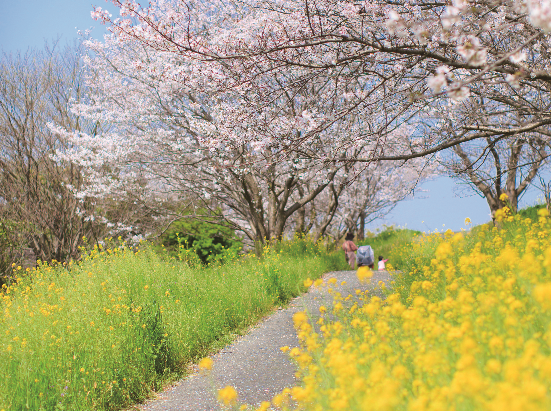 みやま市「表情を見せる美しい自然　みやまの旅へ出かけてみませんか？」