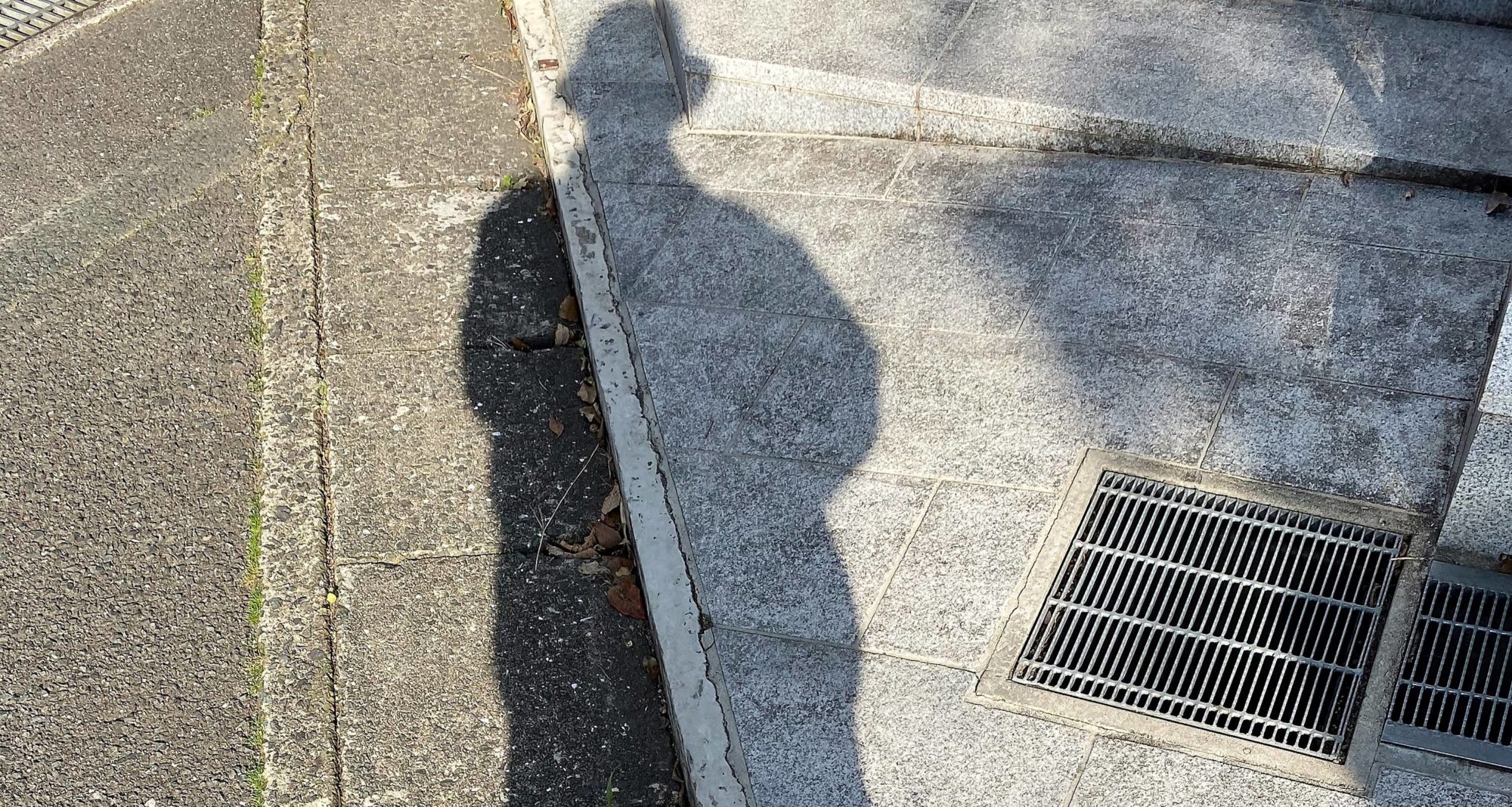 【連載コラム】―愛宕の森（愛宕山）・散歩道―《番外編》