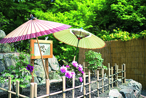 みやま市「みやまさんぽ。自然豊かな清水山で悠久の歴史を感じませんか？」