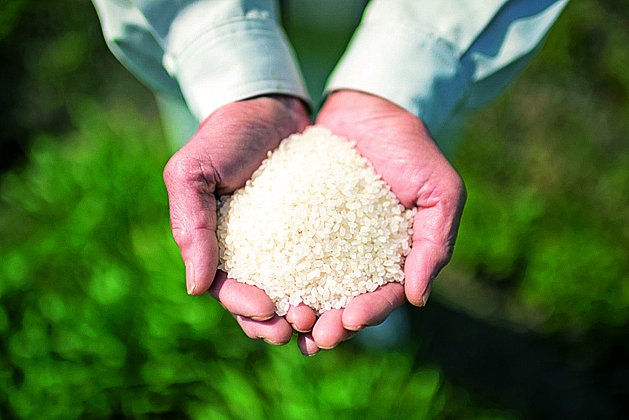 みやま市「知ってますか？みやま自慢の農産物」お米＆高菜漬