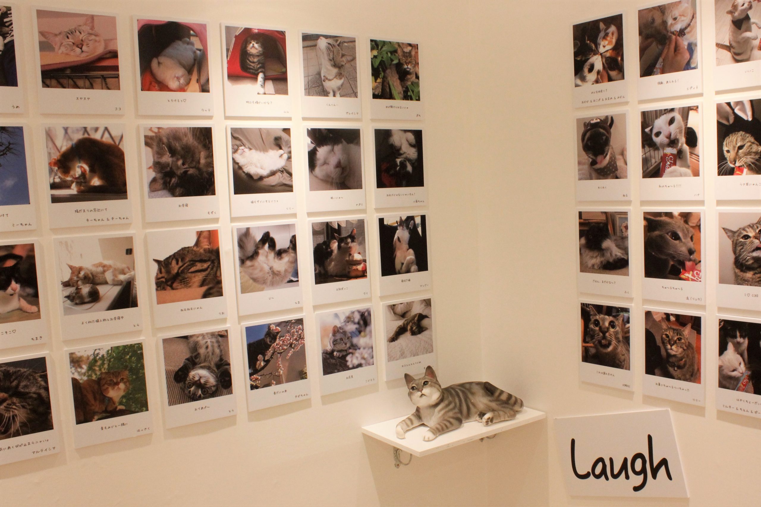 【ねこがかわいいだけ展】で癒されまくり♡そのニャイ容とは？