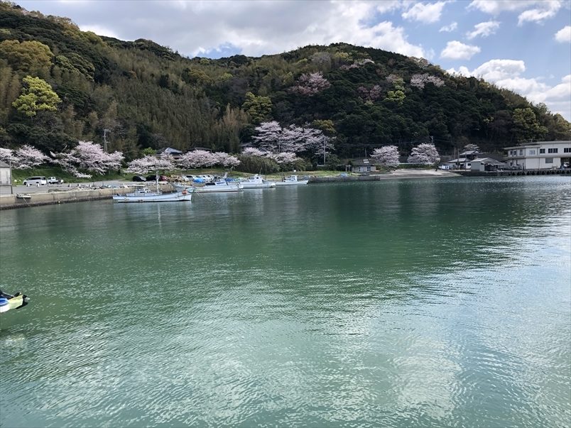 【連載コラム】テトラの果てまでいってFISH!!～深江漁港にて春の訪れ～＃26
