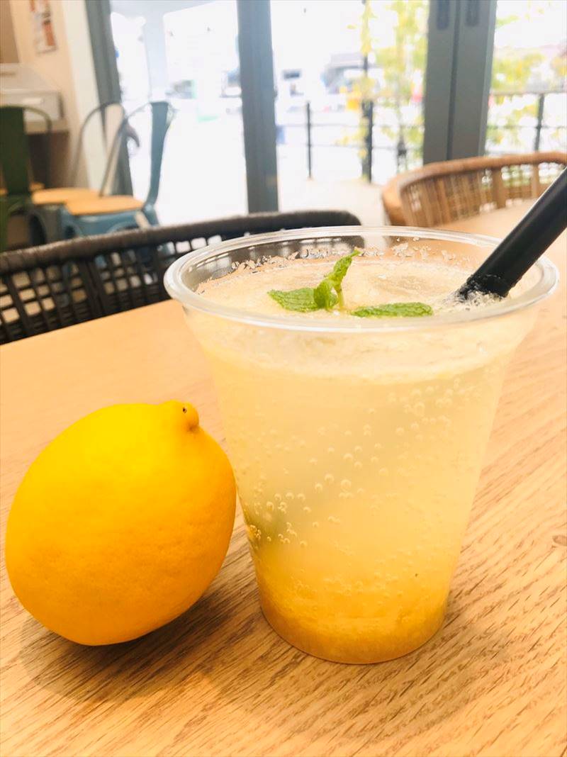 【雑貨店のスタッフが選ぶ一押しアイテム】ハウズKITCHENでも！自宅でも！炭酸ですっきり簡単リフレッシュしませんか？