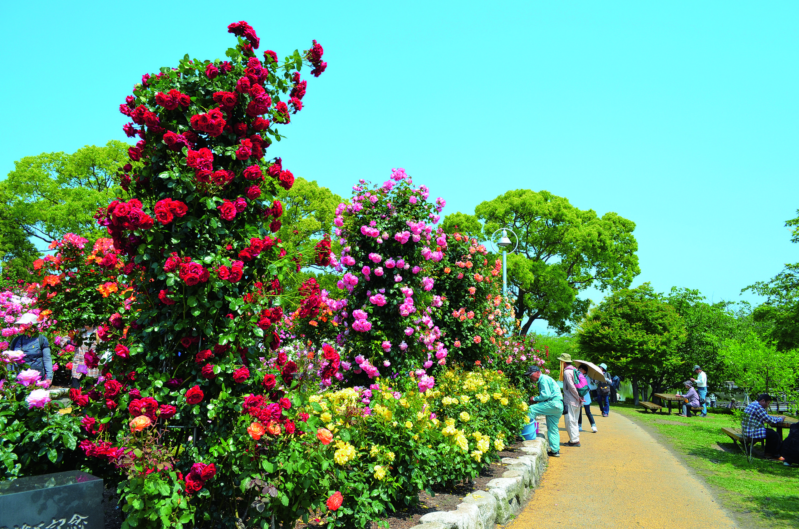 【新宮町／粕屋町】かすやで人気の公園に行こう！
