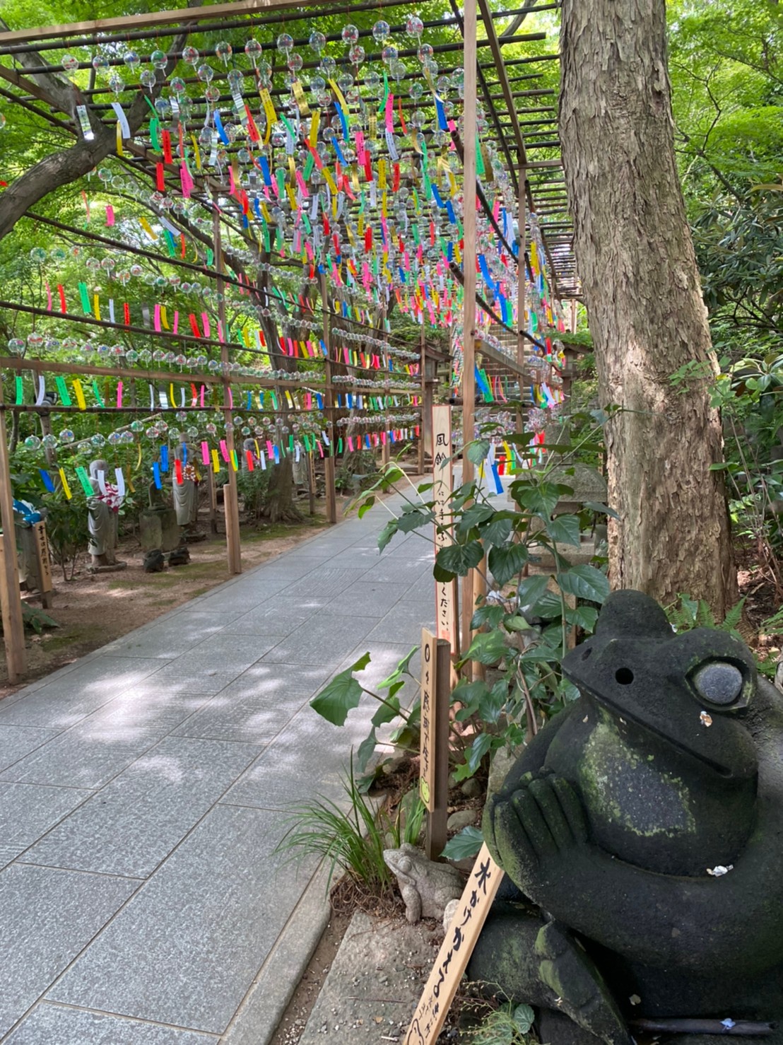 【プチトリップ福岡】音色で癒される「風鈴まつり」開催中 小郡市『如意輪寺』