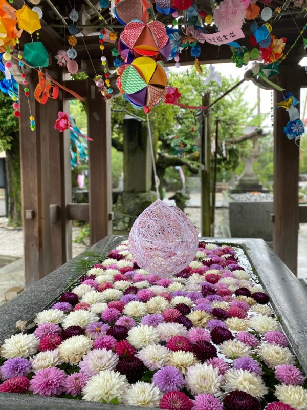福岡プチトリップ 心癒される花手水がお目見えしました 福津市 宮地嶽神社 ふくおかナビ