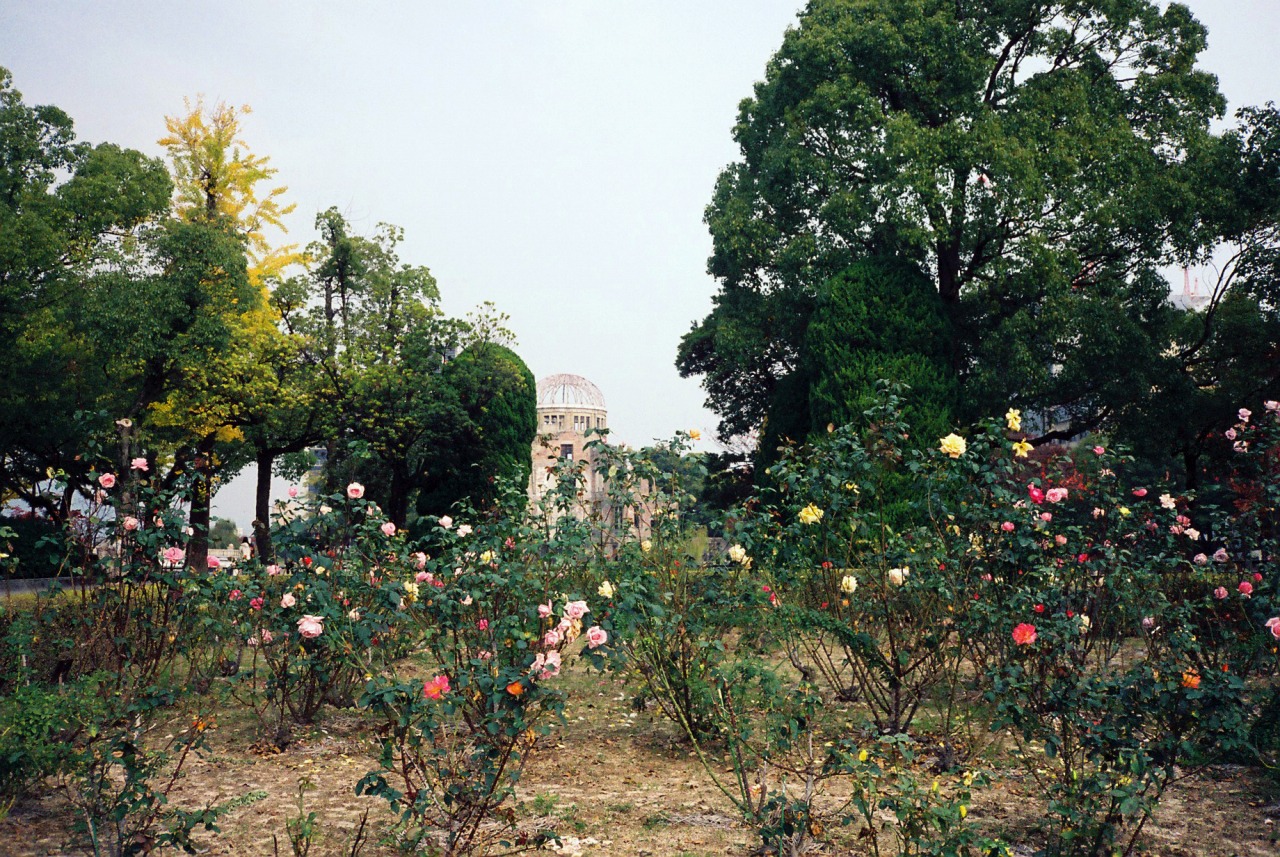 柔らかさと強さが混在。喜多村みか写真展「TOPOS」が開催