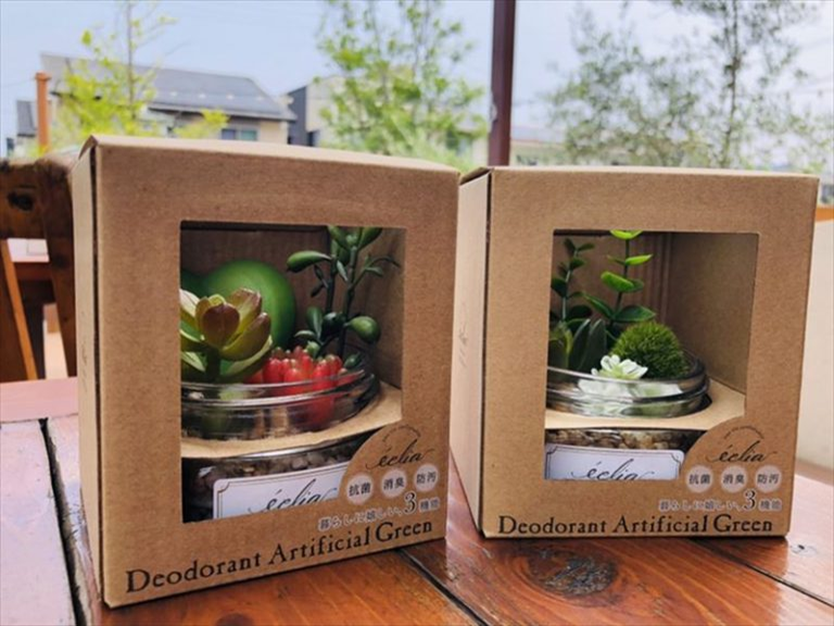 【雑貨店のスタッフが選ぶ一押しアイテム】こんな時期だからこそ！！お部屋の空気をキレイにしませんか？「デオドランドアーティフィッシャルグリーン」