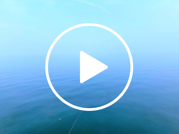 静寂の東彼杵と大きな影【動画あり】～テトラの果てまでいってFISH!!＃41