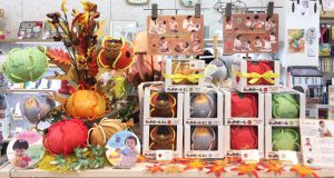 【雑貨店のスタッフが選ぶ一押しアイテム】赤ちゃんでも持ちやすい！かわいい！安心安全な布製ボール「わっかボール」