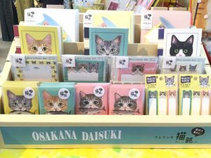 【雑貨店のスタッフが選ぶ一押しアイテム】つぶらな瞳がたまらない！猫部シリーズ♪