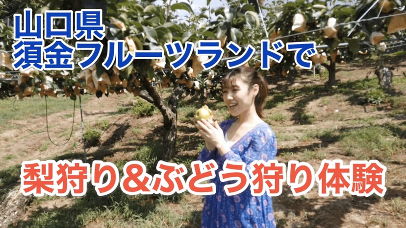 【ふくナビちゃんねる】おすすめスポット！山口県 須金フルーツランドで梨狩り＆ぶどう狩り体験