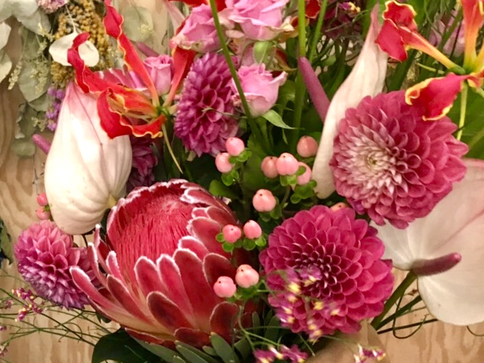 🌹『花toYUKU』🌹 今回は秋の花ダリア