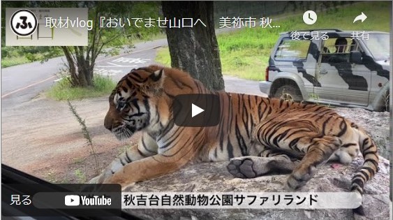 【ふくナビちゃんねる】「おいでませ山口へ　美祢市 秋吉台自然動物公園サファリランド」