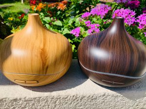 【雑貨店のスタッフが選ぶ一押しアイテム】たまねぎみたいな加湿器「ルポゼ」
