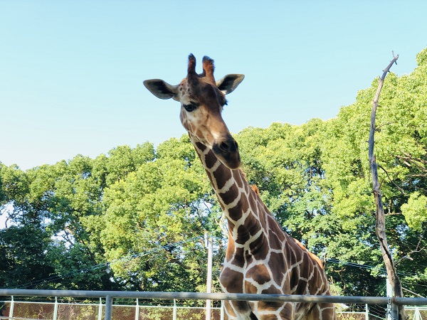 【LOVE CHIKUGO】「動物福祉を伝える動物園」～大人の遠足へGO！