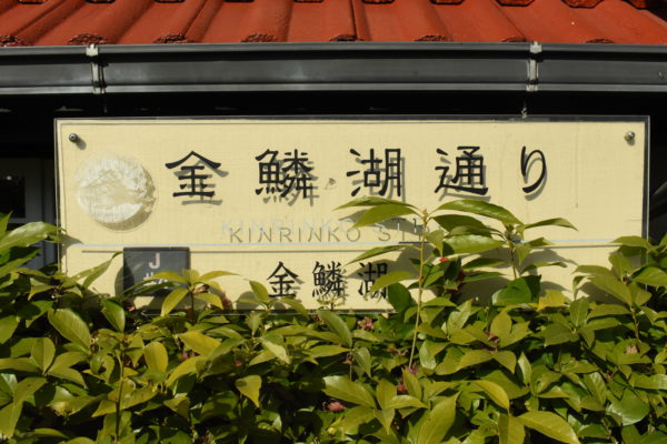 金鱗湖通り
