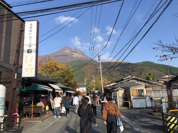 由布岳の麓にある『湯の坪街道』