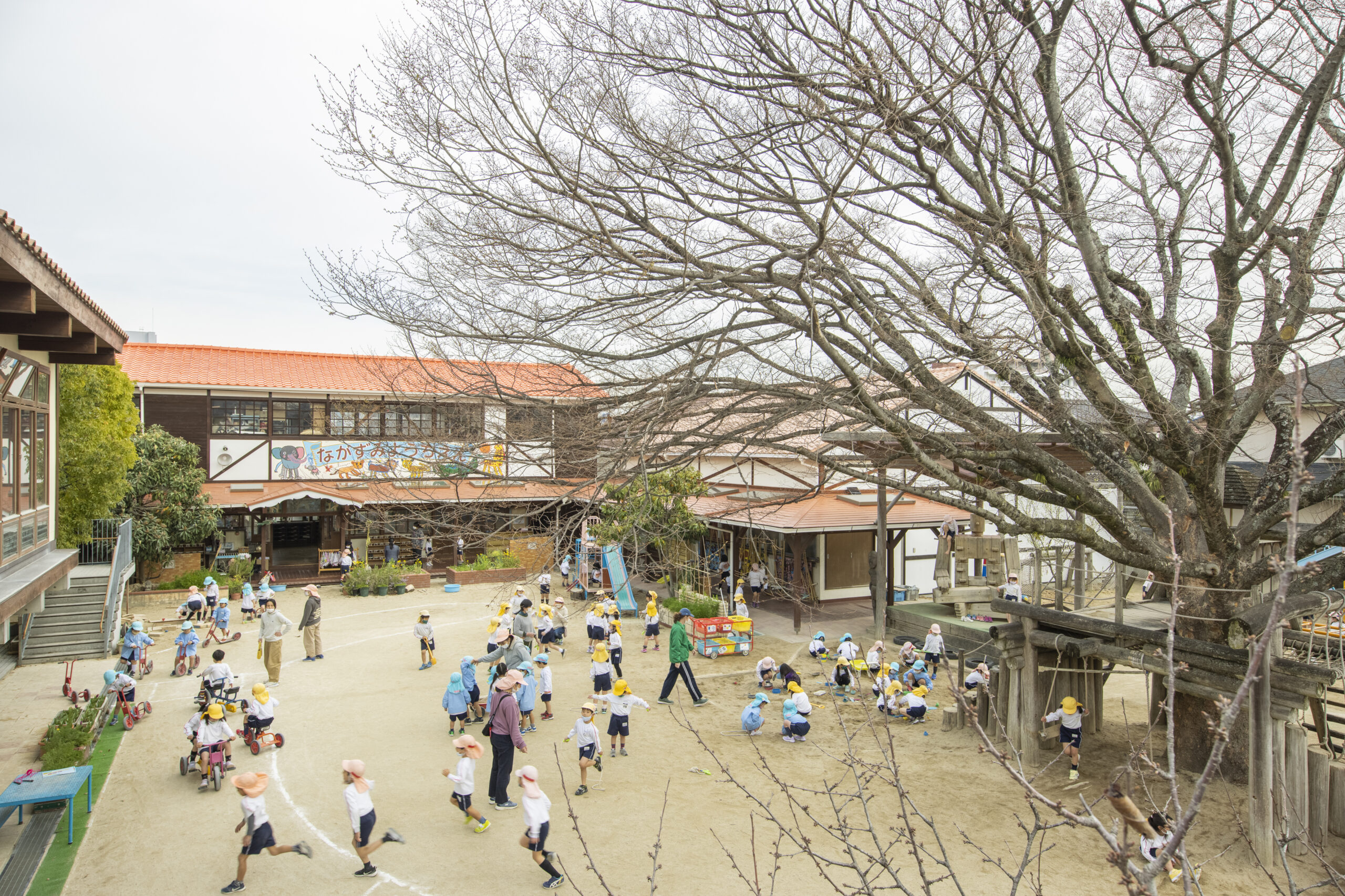 おおきな「けやきの木」のもと、豊かな心の育みが学びの基礎に【学校法人 けやきの木学園　ながずみ幼稚園】