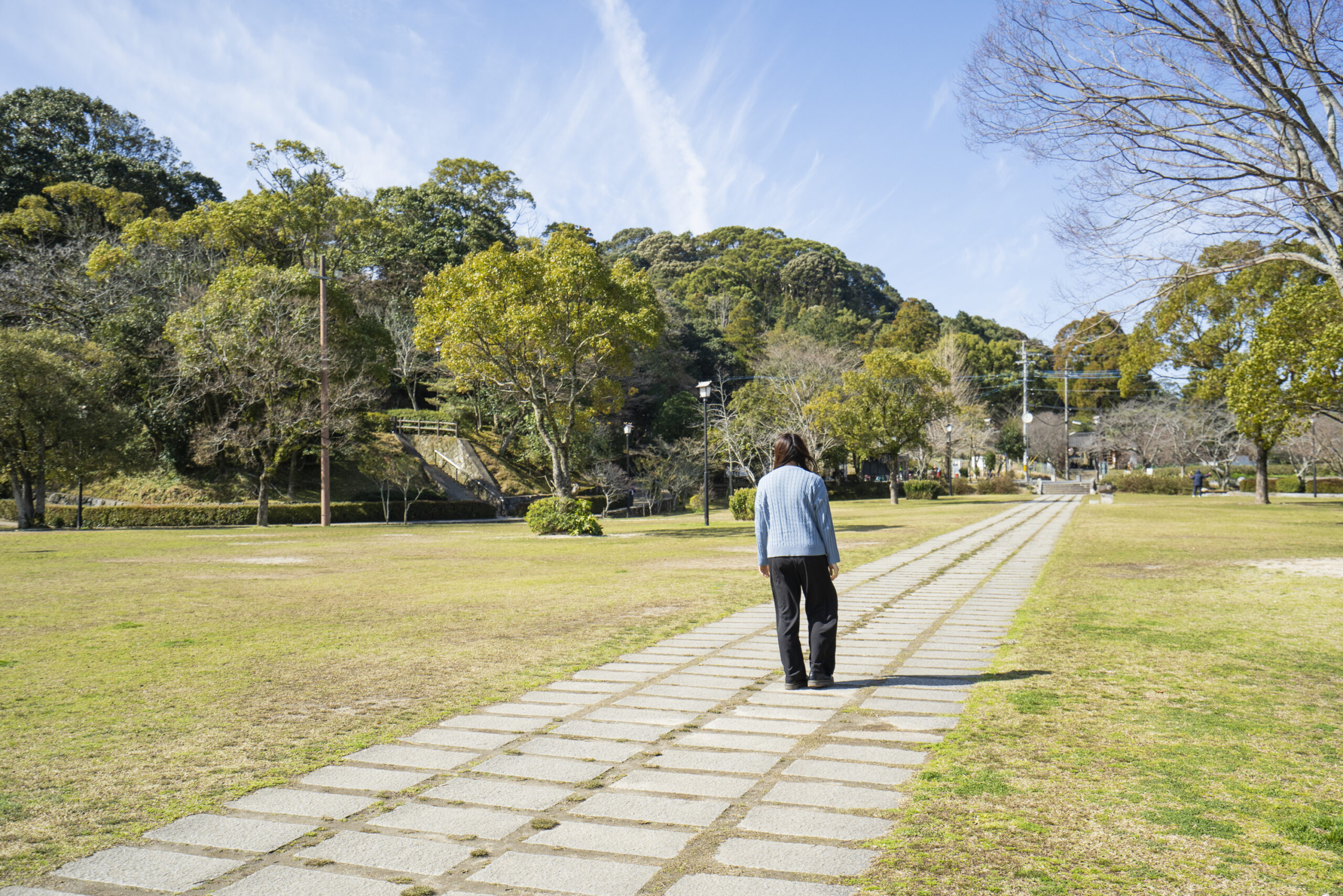 【ふくおかちかたび】万葉の歴史と美しい花々が咲き誇る自然公園「天拝山歴史自然公園」