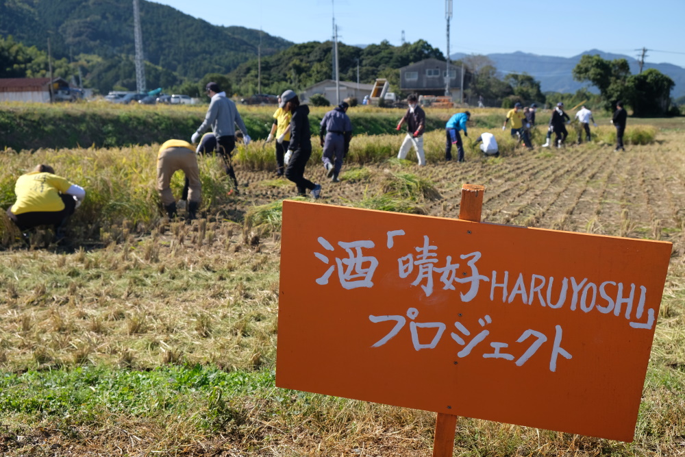【福岡酒】春吉生まれの日本酒  「晴好 HARUYOSHI 01」販売中