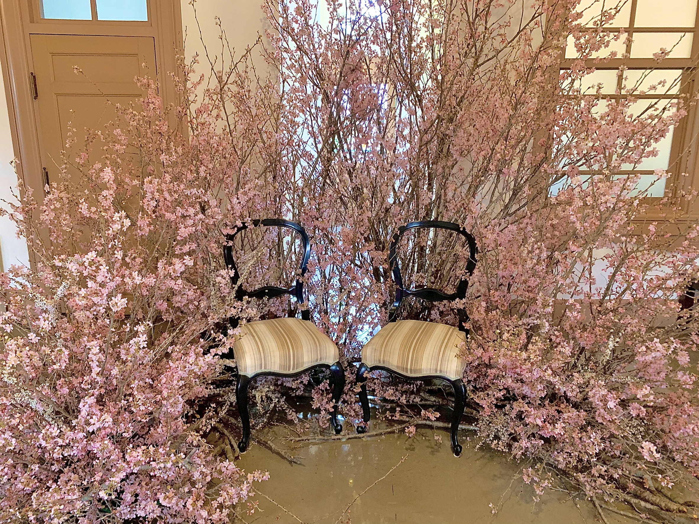 貴賓館飾花イベント「ハナノチカラ」開催中！！
