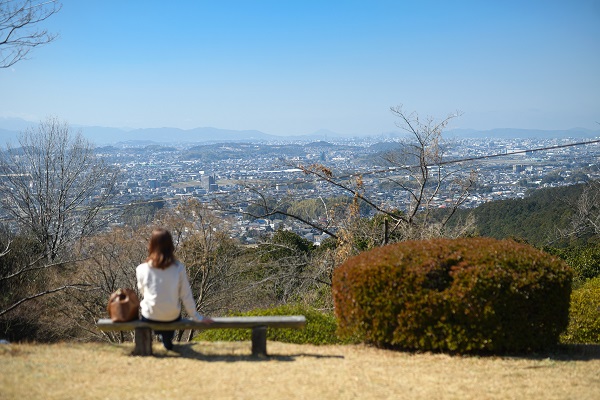 【ふくおかちかたび】四季折々の自然が溢れる花の名所「須恵町立皿山公園」