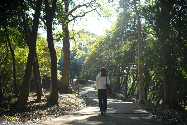 【ふくおかちかたび】アスレチックと歴史が楽しめる森の中の公園「志免平成の森公園」
