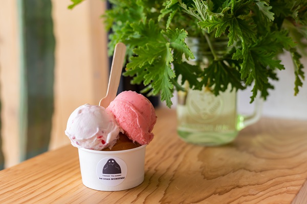 鹿児島グルメ 豊かな味わいから素材の良さがすぐ分かる とびきり楽しい 実験的創作アイスクリーム ふくおかナビ