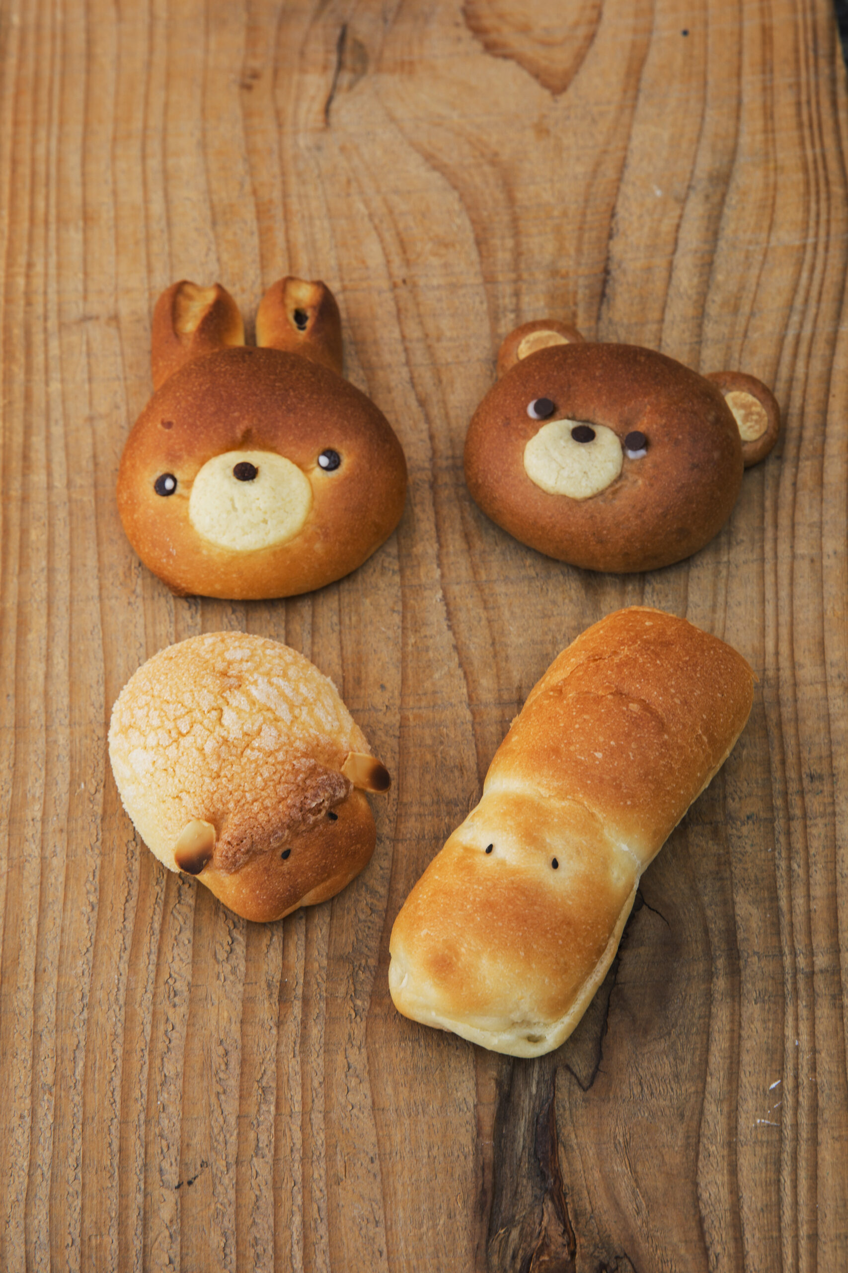 【福岡パン】動物パン有名店『パンサク』の隠れた絶品パンが進化中！