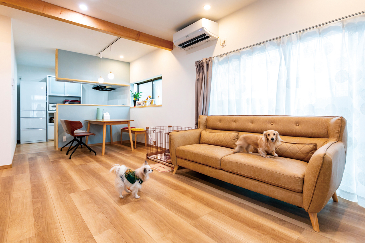 飼い主と犬が楽しく暮らすヒント!わんちゃんのためのワンダフルリノベーション!