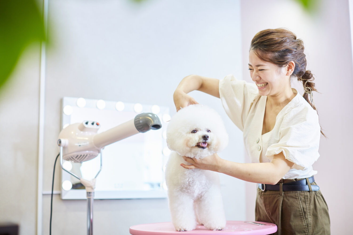 個々の魅力を引き出すプライベートペットサロン『Dogsalon chulip』