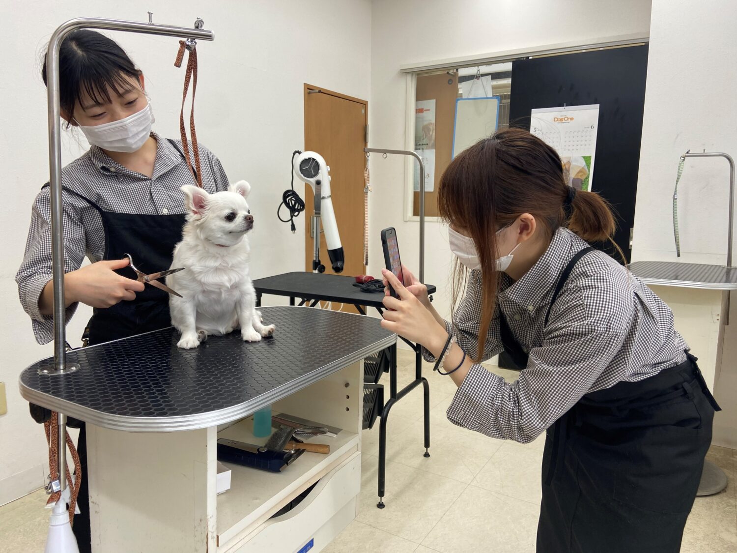 サロン滞在中の愛犬の様子も写真や動画で！野方のペットサロン『ドッグワン』