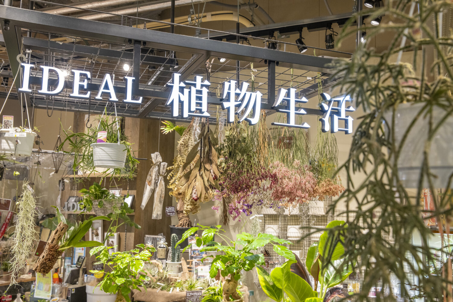 『IDEAL 植物生活』（福岡市・地行浜）暮らしを豊かにしてくれるアイテムが充実！