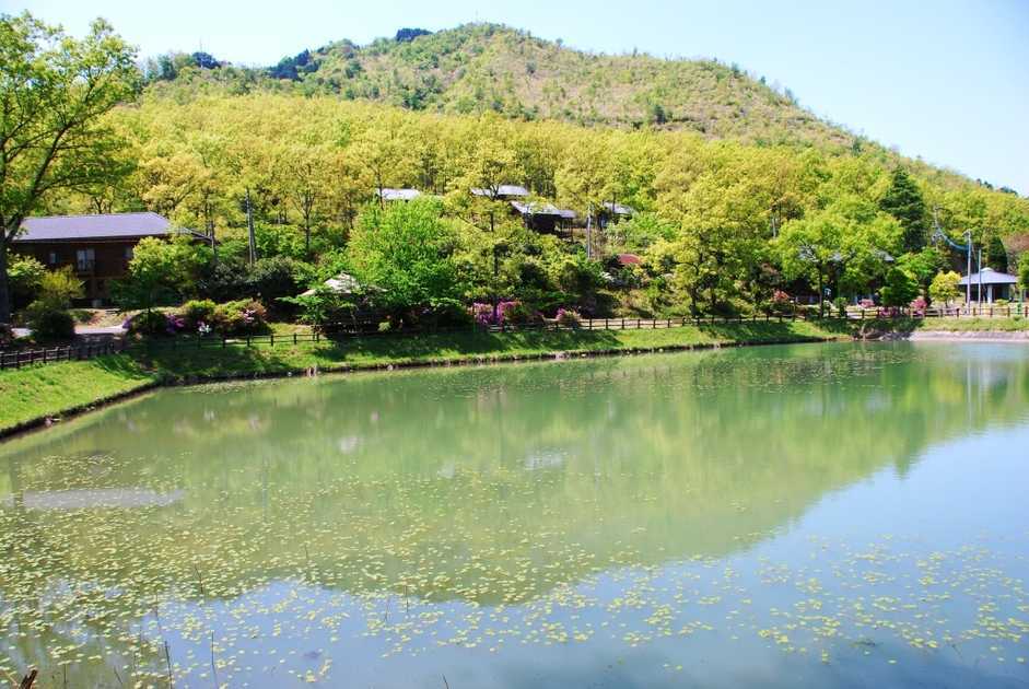 『奥耶馬渓憩の森キャンプ場』（大分県中津市）木々が生い茂る林間キャンプ場
