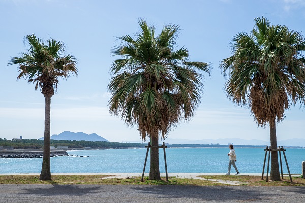 【福津・古賀特集】福岡で南国気分を味わえる海辺の公園「福間漁港海浜公園」