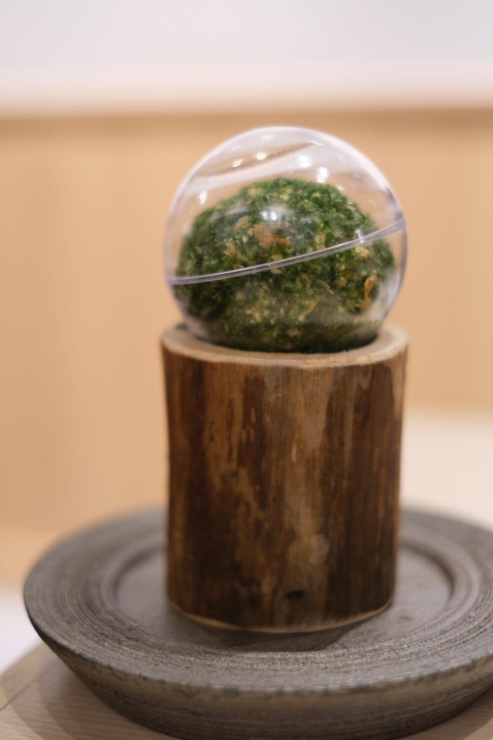 【NEWOPEN】料理はほぼ299円！コスパ◎な大衆寿司居酒屋が天神にオープン！『鮨・酒・肴 杉玉 天神』