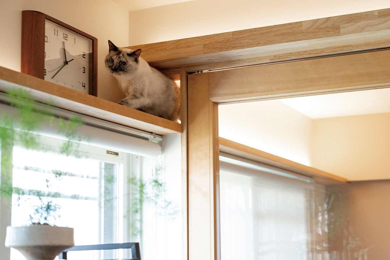 【すてきなリノベのお宅訪問～マンション編】愛するものたちが調和する　豊かな暮らしとモダンな空間。『金剛住機株式会社』